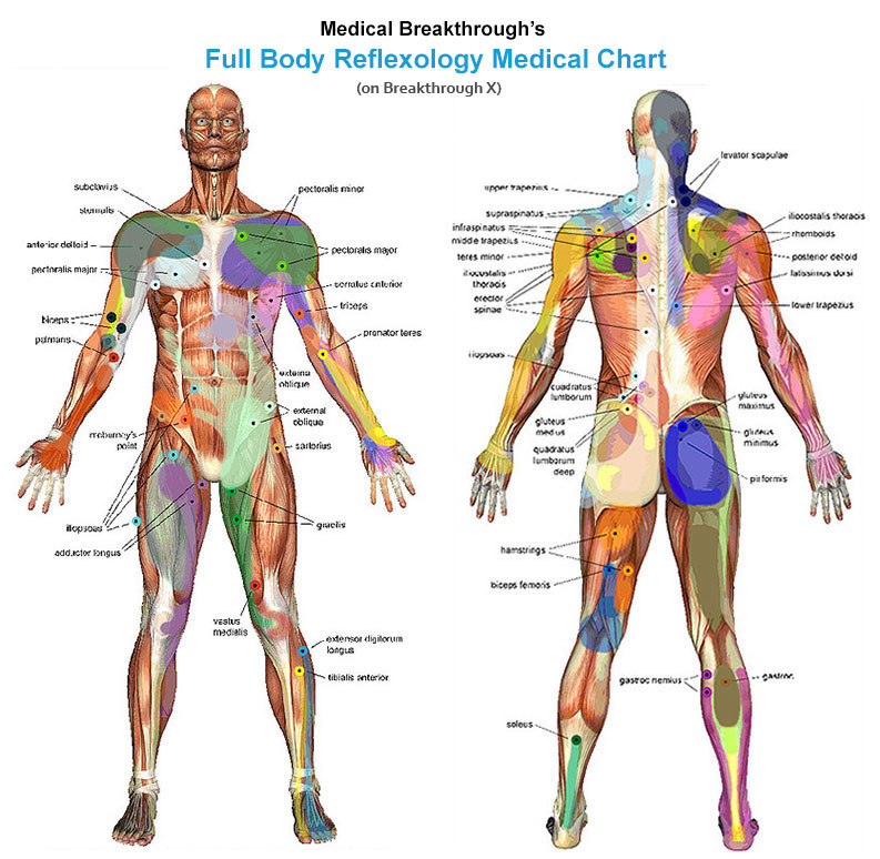 medical breakthrough full body reflexology chart