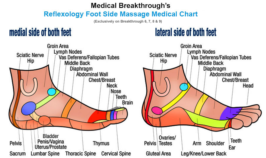 medical breakthrough reflexology foot side massage medical chart