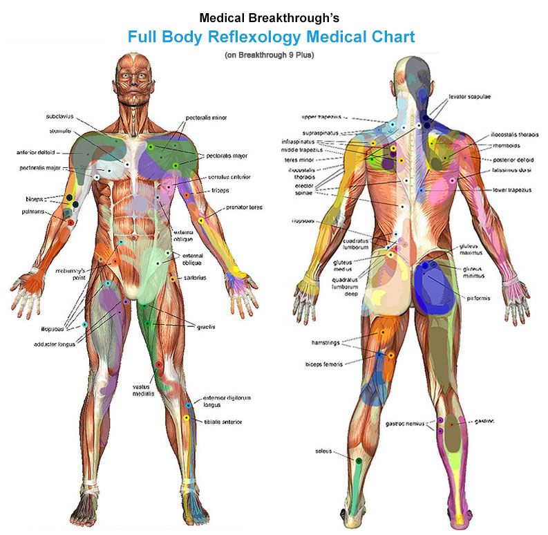 medical breakthrough full body reflexology medical chart
