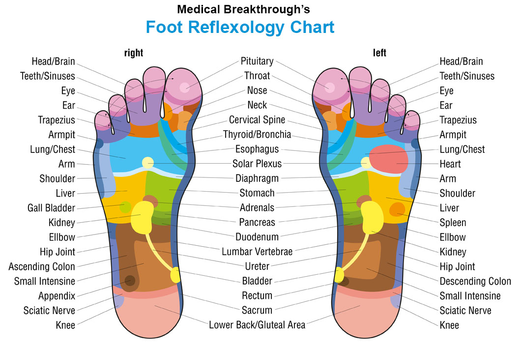 medical breakthrough foot reflexology chart